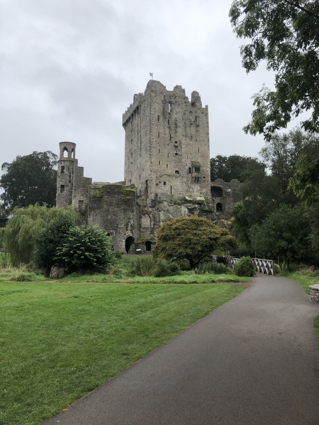 Ireland.ducey.blarney